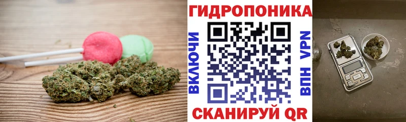 площадка какой сайт  Сальск  Еда ТГК конопля  где купить наркотик  KRAKEN ССЫЛКА 