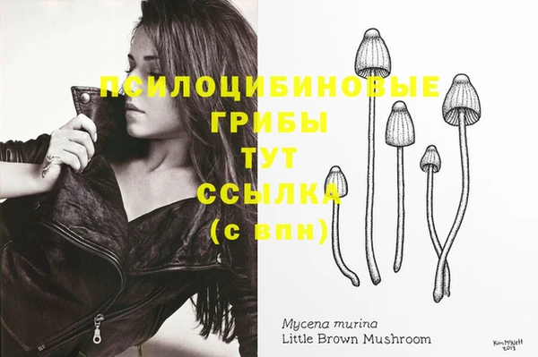 каннабис Новодвинск