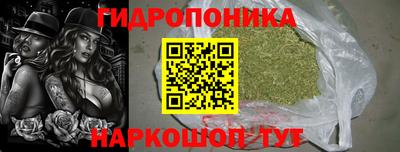 spice Дубна