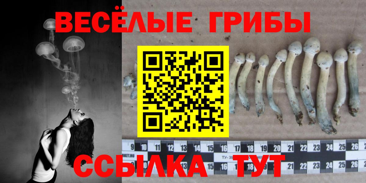 Галлюциногенные грибы ЛСД Сальск