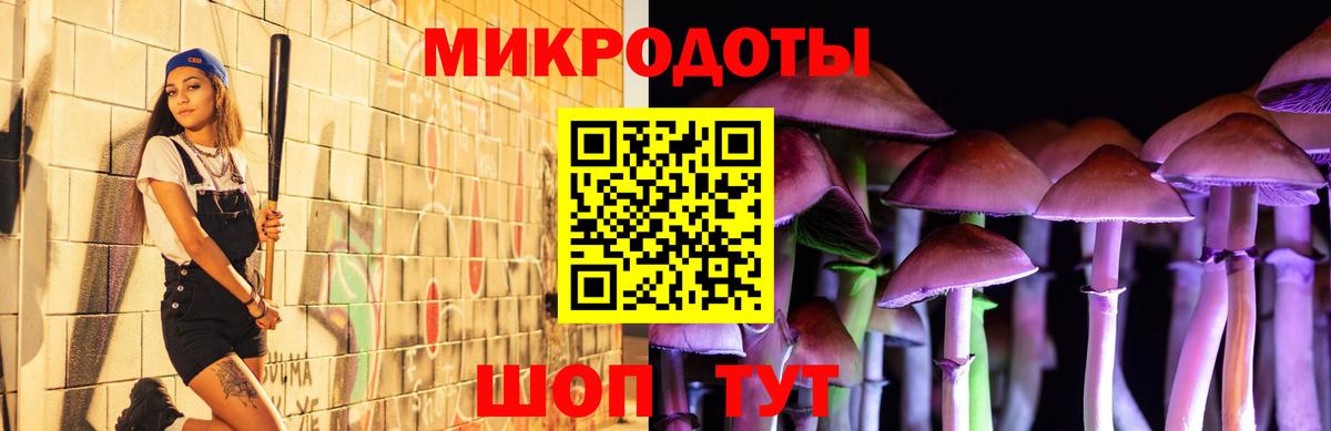 Псилоцибиновые грибы Magic Shrooms  Вход с VPN  Сальск  Галлюциногенные грибы Psilocybine cubensis 
